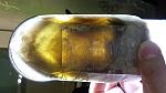    
: 20141019_184828.jpg
: 10
:	81.2 
ID:	8883429