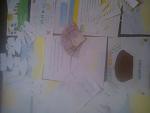     
: IMG_0392.JPG
: 12
:	78.2 
ID:	8886006