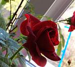     
: IMG_0514_500.jpg
: 5
:	87.4 
ID:	8887892