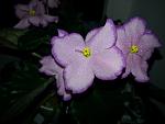     
: 20141018_083844.jpg
: 23
:	94.5 
ID:	8888649