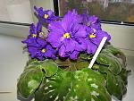     
: 20141018_083254.jpg
: 26
:	193.4 
ID:	8888651