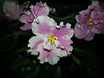     
: 20141018_083813.jpg
: 24
:	107.0 
ID:	8888655