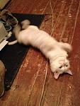     
: 2014-10-14 20.47.40.jpg
: 14
:	117.1 
ID:	8889159