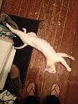     
: 2014-10-14 20.47.24.jpg
: 16
:	92.0 
ID:	8889160