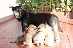     
: DSC_0764.jpg
: 9
:	138.4 
ID:	8889315