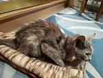     
: 2014-10-20 21.22.14.jpg
: 6
:	148.4 
ID:	8890694