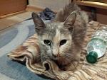     
: 2014-10-20 21.24.51.jpg
: 5
:	121.8 
ID:	8890696