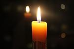     
: gr_05.09.14_svecha.jpg
: 42
:	27.6 
ID:	8893346