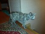     
: 20141021_201231.jpg
: 9
:	135.0 
ID:	8894883