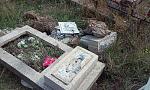     
: 20141015_141946.jpg
: 37
:	226.0 
ID:	8895162