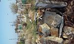     
: 20141015_141727.jpg
: 12
:	192.6 
ID:	8895181