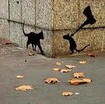     
: LpKEQccQ1dM.jpg
: 23
:	11.3 
ID:	8900028