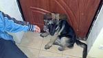     
: IMG_20141022_215625_405.jpg
: 17
:	84.4 
ID:	8901091