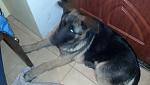     
: IMG_20141022_215550_797.jpg
: 18
:	68.1 
ID:	8901092