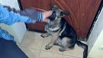     
: IMG_20141022_215629_556.jpg
: 17
:	81.8 
ID:	8901093