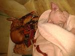     
: 2014-10-11 20.44.49.jpg
: 17
:	135.5 
ID:	8901371