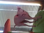     
: 2014-10-19 10.24.30.jpg
: 20
:	105.3 
ID:	8901380