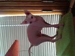     
: 2014-10-19 10.24.56.jpg
: 15
:	112.9 
ID:	8901384