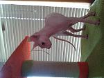     
: 2014-10-19 10.24.59.jpg
: 19
:	131.8 
ID:	8901387