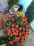     
: image.jpg
: 7
:	172.3 
ID:	8902165