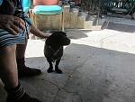     
: IMG_8206.jpg
: 11
:	130.1 
ID:	8902182