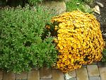     
: 2014-10-23 14.14.46.jpg
: 8
:	266.6 
ID:	8904440