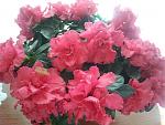     
: 20140930_092606.jpg
: 8
:	121.7 
ID:	8904710