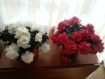     
: 20140930_092551.jpg
: 9
:	100.2 
ID:	8904711