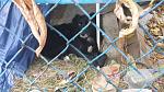     
: 20141023_172346.jpg
: 12
:	154.0 
ID:	8905563