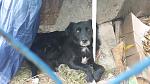     
: 20141023_172335.jpg
: 9
:	129.4 
ID:	8905564