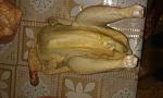     
: 2Y5NkSkBWEM.jpg
: 43
:	131.7 
ID:	8907439