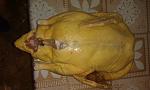     
: iR1MqJqERv0.jpg
: 41
:	116.6 
ID:	8907443