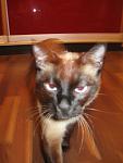     
: IMG_6880.jpg
: 37
:	60.0 
ID:	890885