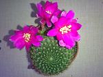     
: DSC_0825.jpg
: 13
:	120.4 
ID:	8910841