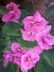     
: DSC_1002.jpg
: 8
:	128.5 
ID:	8910860