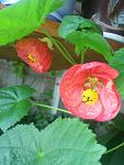     
: DSC_3094.jpg
: 10
:	85.7 
ID:	8910879