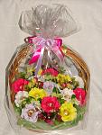     
: DSC07355.jpg
: 33
:	105.0 
ID:	8912279