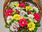     
: DSC07344.jpg
: 23
:	209.7 
ID:	8912280