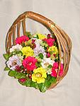     
: DSC07343.jpg
: 20
:	102.4 
ID:	8912281