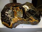     
: IMG_1856.jpg
: 265
:	91.7 
ID:	891275