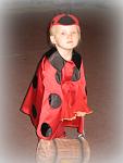     
: IMG_3450.jpg
: 6
:	71.7 
ID:	8913572