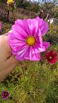     
: IMAG1093.jpg
: 10
:	116.4 
ID:	8916933