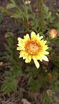     
: IMAG1099.jpg
: 9
:	64.3 
ID:	8916963