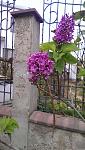     
: IMAG1083.jpg
: 7
:	96.7 
ID:	8916999
