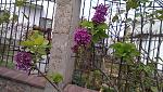     
: IMAG1084.jpg
: 9
:	171.8 
ID:	8917001