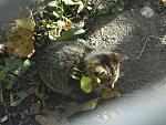     
: DSCN6338.jpg
: 11
:	155.3 
ID:	8921158
