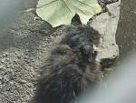     
: DSCN6340.jpg
: 13
:	154.6 
ID:	8921160