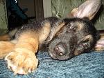     
: DSC01630.jpg
: 12
:	215.5 
ID:	892245