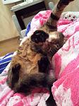     
: IMG-20141027-WA0000.jpg
: 5
:	90.6 
ID:	8926715