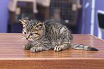    
: DSC_1418_1.jpg
: 24
:	187.4 
ID:	8928288